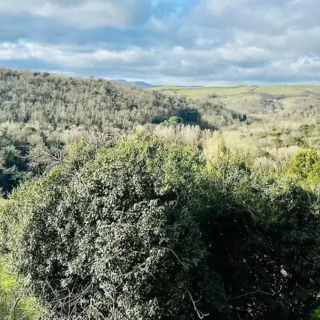 Truffle'n'bed סן ג'יובאני ד'אסו